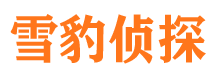 吴川捉小三公司